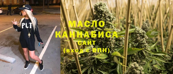 метадон Ельня