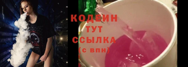 метадон Ельня