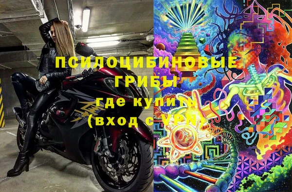 метадон Ельня