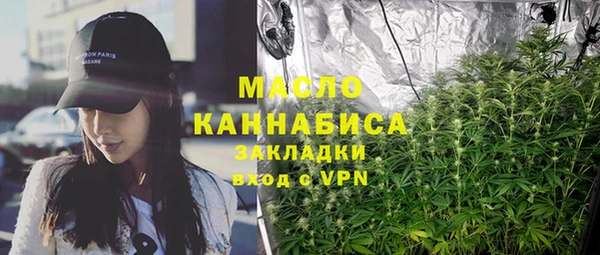 метадон Ельня