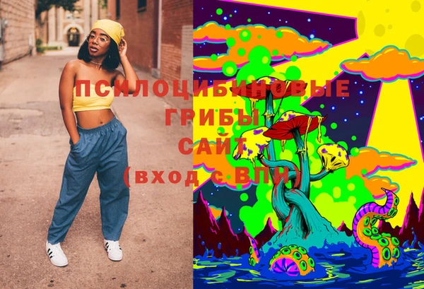 бошки Елизово