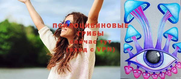 бошки Елизово