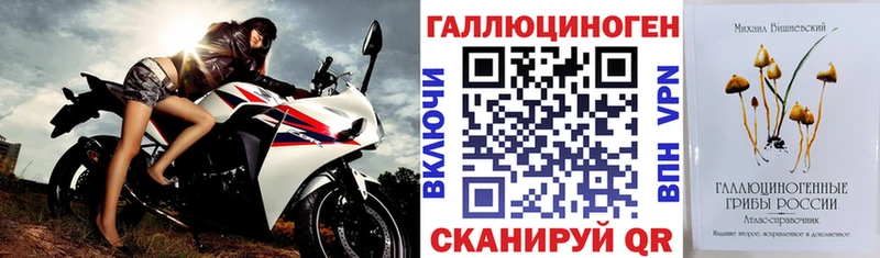 Купить где  Шимановск  Галлюциногенные грибы мицелий 